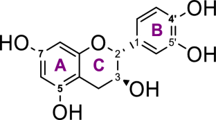 Insights to therapeutic potentials, pharmaceutical formulations, chemistry and analytical methods of catechin