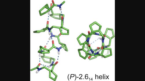 Exploring helix structures of γ-peptides based on 2-(aminomethyl)cyclopentanecarboxylic acid