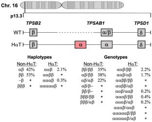 Alpha-Tryptase as a Risk-Modifying Factor for Mast Cell-Mediated Reactions.