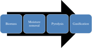 Effects of CO2 and CH2 Adding on Steam Gasification of Biomass Renewable Energy for Syngas Production Considering Parametric Investigation