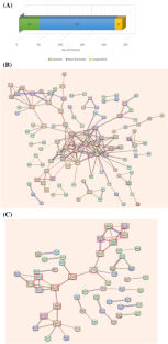 Deciphering druggability potential of some proteins of Candida albicans biofilm using subtractive proteomics approach