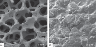 Localization of Vapors of Cesium Iodide on Ceramic Block-Cellular Contact Elements in an Oxidizing Environment