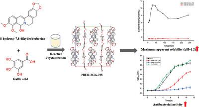 Simultaneous Improvements of Physicochemical Properties and Anti-Microbial Activity of Berberine via Forming Salt with Gallic Acid