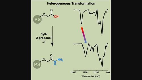 Efficient heterogeneous synthesis of nucleophilic carboxymethyl hydrazides of polysaccharides