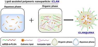 Optimization of lipid assisted polymeric nanoparticles for siRNA delivery and cancer immunotherapy†