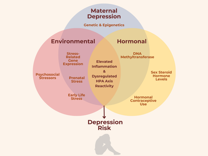 Sex Differences in Stress Susceptibility as a Key Mechanism Underlying Depression Risk