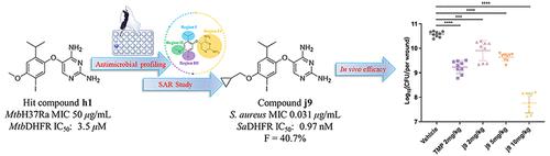 Design, Synthesis, and Biological Evaluation of 5-(5-Iodo-2-isopropyl-4-methoxyphenoxy)pyrimidine-2,4-diamine (AF-353) Derivatives as Novel DHFR Inhibitors against Staphylococcus aureus