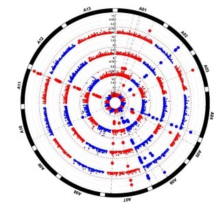 A genome-wide association study for resistance to Fusarium wilt (Fusarium oxysporum f. sp. vasinfectum) race 4 in diploid cotton (Gossypium arboreum) and resistance transfer to tetraploid Gossypium hirsutum.