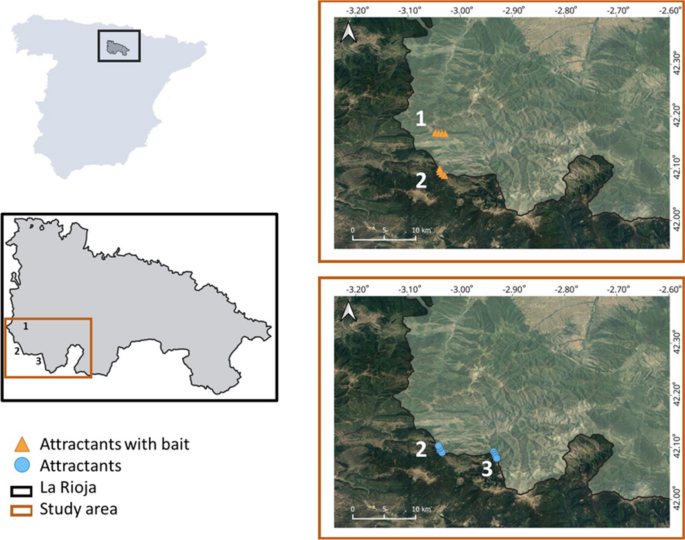 Effectiveness of attractants and bait for Iberian wolf detection: captivity-based and free-ranging trials