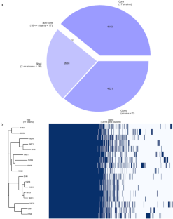 Comparative genomic analysis of Pseudomonas aeruginosa strains susceptible and resistant to carbapenems and aztreonam isolated from patients with healthcare-associated infections in a Mexican hospital.