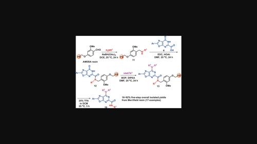 Solid-phase synthetic method for N-alkyl-7-alkylamino-2-aryloxazolo[5,4-d]pyrimidine-5-carboxamide derivatives