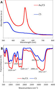 Gold nanoparticles supported on chitosan and the ameliorative response on Raman scattering sensing, catalytic reduction, antibacterial and cytotoxicity activities