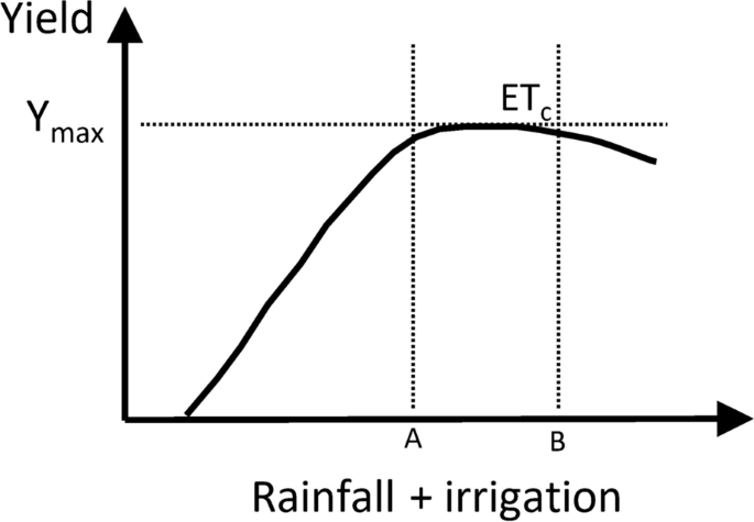 Reducing Yearly Variation In Potato Tuber Yield Using Supplemental Irrigation