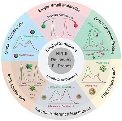 Rational Design of NIR-II Ratiometric Fluorescence Probes for Accurate Bioimaging and Biosensing In Vivo.