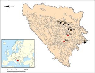 Serpentine environment prevails over geographic distribution in shaping the genetic diversity of Medicago lupulina L.