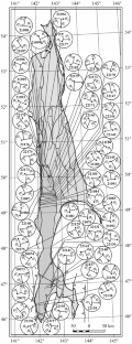 Reconstruction of Paleostresses in the West of Sakhalin from Tectonophysical Research Findings