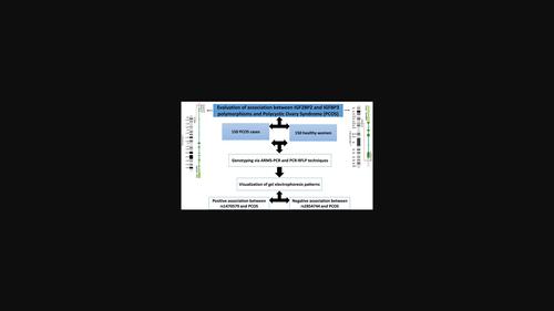 IGF2BP2 and IGFBP3 Genotypes, Haplotypes, and Genetic Models Studies in Polycystic Ovary Syndrome