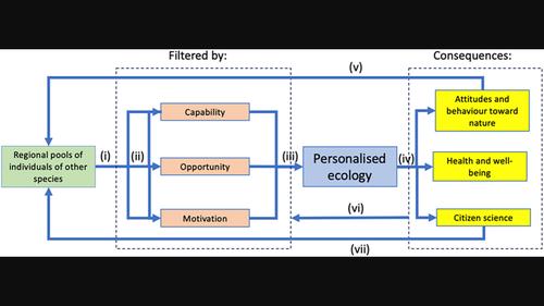 Characterizing personalized ecologies