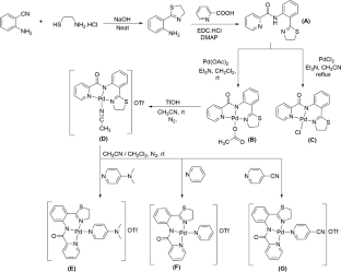 Novel thiazolinyl-picolinamide-based palladium(II) complex extenuates the virulence and biofilms of vulvovaginal candidiasis (VVC) causing Candida.