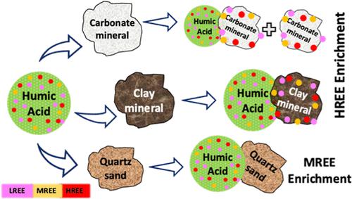 Mobility of Rare Earth Elements in Coastal Aquifer Materials under Fresh and Brackish Water Conditions