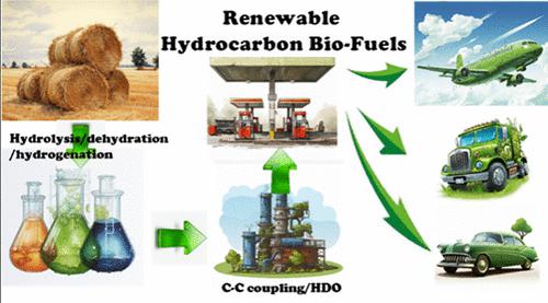 Production of Renewable Hydrocarbon Biofuels with Lignocellulose and Its Derivatives over Heterogeneous Catalysts