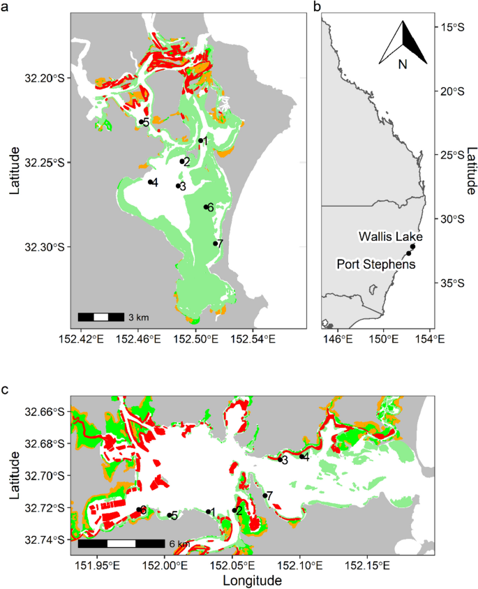 Abundance and Distribution of Blue Swimmer Crab in Response to Environmental Variation Across Two Contrasting Estuaries