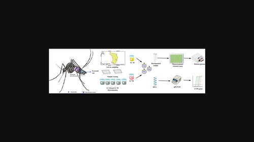 Effects of deltamethrin exposure on the cytochrome P450 monooxygenases of Aedes albopictus (Skuse) larvae from a dengue-endemic region of northern part of West Bengal, India