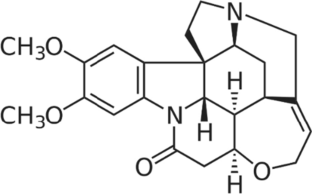 摘要图片