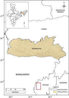 Evaluating the Influence of the Shillong Plateau Topography on Thunderstorm Activity Over Northeast India