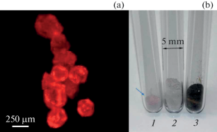 Electron Spin Resonance of NV(–)-Centers in Synthetic Fluorescent Diamond Microcrystals under Conditions of Optical Spin Polarization