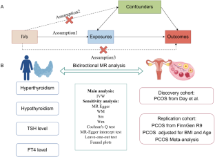 Is thyroid function associated with polycystic ovary syndrome? A bidirectional Mendelian randomization study.