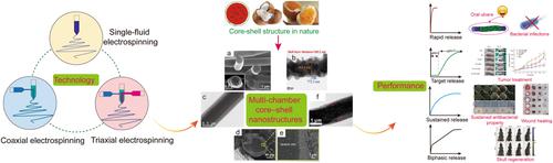 Electrospun multi-chamber core-shell nanofibers and their controlled release behaviors: A review.