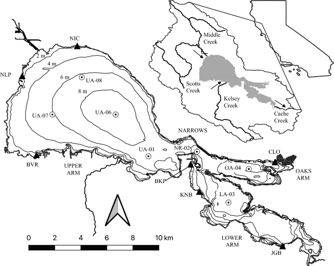 Internal phosphorus loading alters nutrient limitation and contributes to cyanobacterial blooms in a polymictic lake