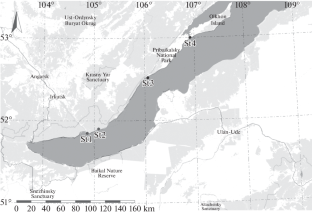 Ecological Factors and Denitrifying Bacteria of Lake Baikal Epilithon