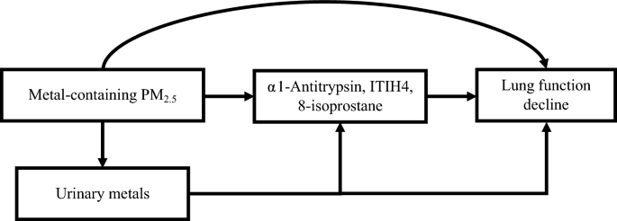 Effects of occupational exposure to metal fume PM<sub>2.5</sub> on lung function and biomarkers among shipyard workers: a 3-year prospective cohort study.