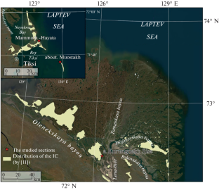 Distribution and Structure of the Ice Complex of the Lena Delta Area