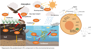 Biological Effects and Environmental Behaviors of Medium- and Long-Chain Chlorinated Paraffins: A Brief Review