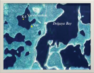 The Composition and Organic Matter of Bottom Sediments and Soil in the Drainage Basin Varvarinskoe Lake (Bolshoy Solovetsky Island)