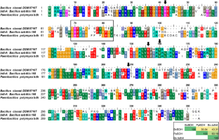 In silico screening and validation of different dehydrogenases to produce 2,3-butanediol in Bacillus subtilis