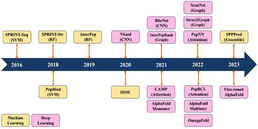 Leveraging machine learning models for peptide–protein interaction prediction