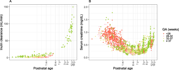 When will the Glomerular Filtration Rate in Former Preterm Neonates Catch up with Their Term Peers?