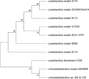 Efficient production of 1,3-propanediol from glycerol by a newly isolated soil bacterium using fed-batch fermentation