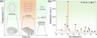 Fatigue Crack Initiation and Propagation Dominated by Crystallographic Factors in TiB/near α-Ti Composite