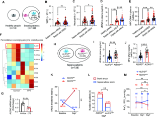 Neutrophil ALDH2 is a new therapeutic target for the effective treatment of sepsis-induced ARDS