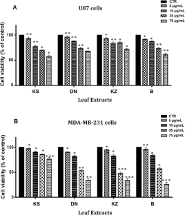 Anticancer Properties of Different Varieties of Date Palm (Phoenix dactylifera L.) Leaf Extracts in Human Tumor Cells: a Comparative Study.