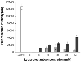 Use of antioxidants to extend the storage of lyophilized cell-free synthesis system