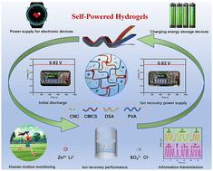 Constructing robust and recyclable self-powered polysaccharide-based hydrogels by adjusting Zn2+/Li+ bimetallic networks†