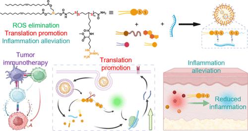 Biodegradable Lipid-Modified Poly(Guanidine Thioctic Acid)s: A Fortifier of Lipid Nanoparticles to Promote the Efficacy and Safety of mRNA Cancer Vaccines