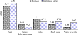 Application of aquatic plants in ecological restoration of sponge city construction