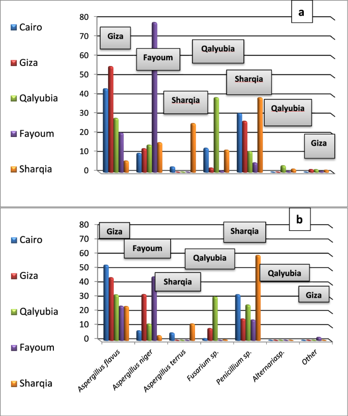 Molecular identification and management of mycotoxigenic fungi in stored corn Grains